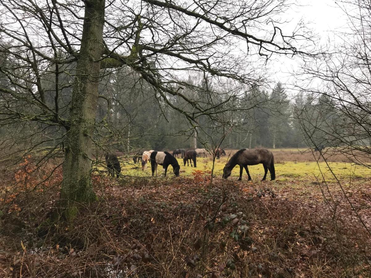 De Kempse Hoeve B&B Boxtel Eksteriør bilde